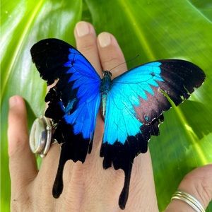 Meet your Posher, Lara